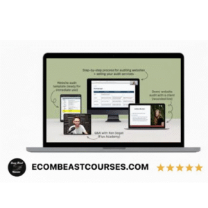 Danbee Shin – Website Audit Masterclass